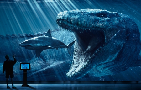 动作片的美学表达与视觉冲击